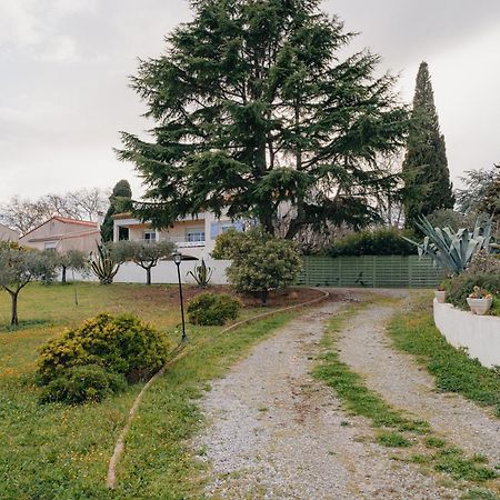 Les Gites De Ginestas Εξωτερικό φωτογραφία